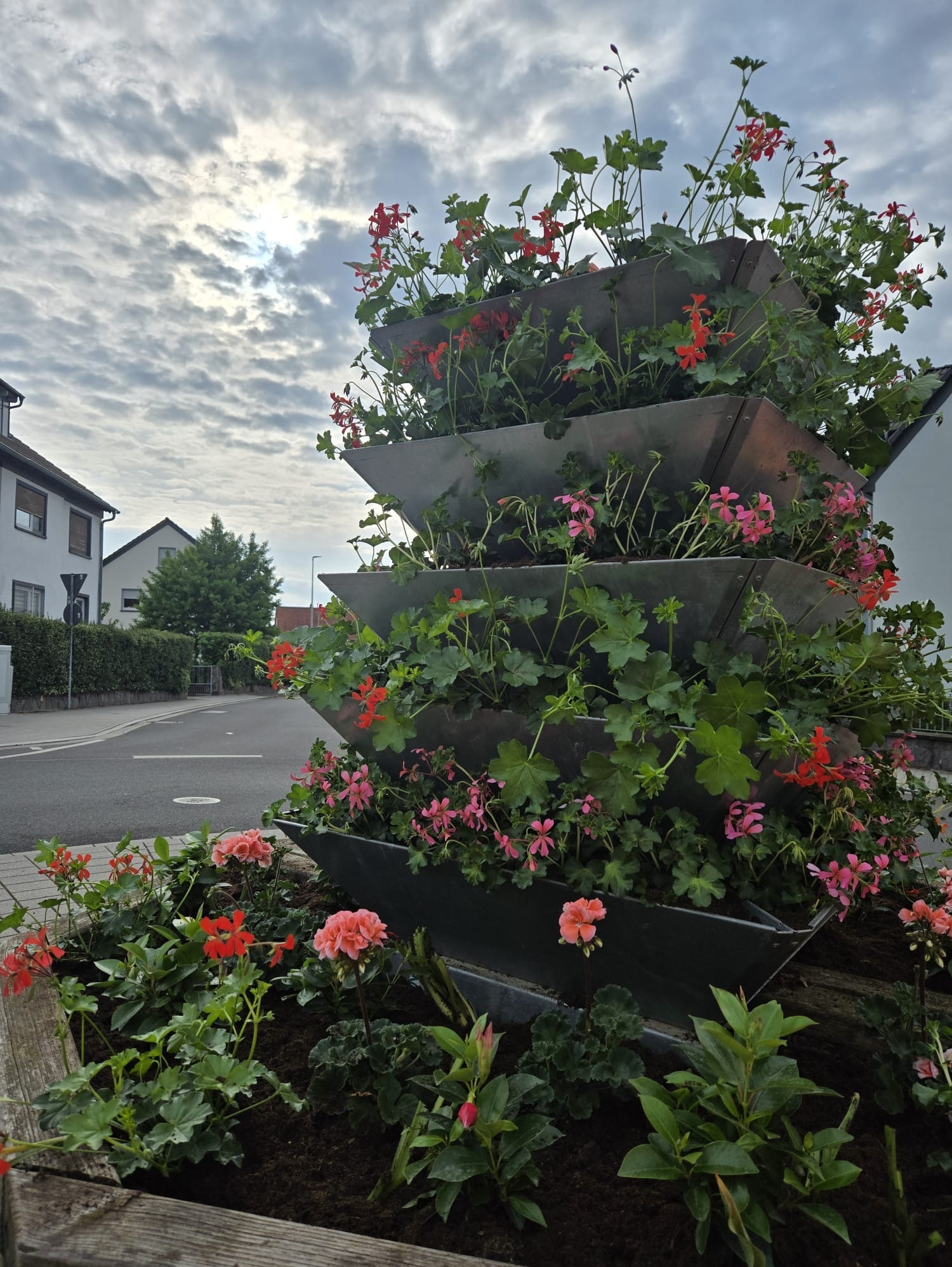 Kreisel am Wildgraben (1)