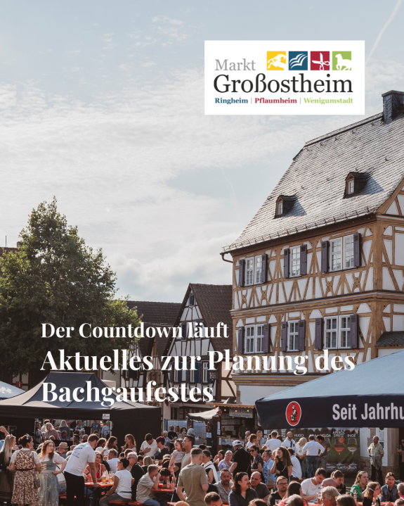 Strukturgruppe Bachgaufest