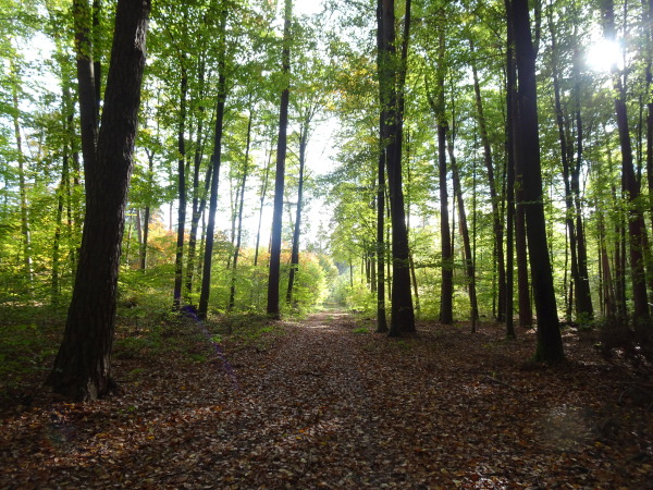 20230422-Mit-dem-Jaeger