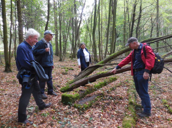 Friedensweg Ringheim